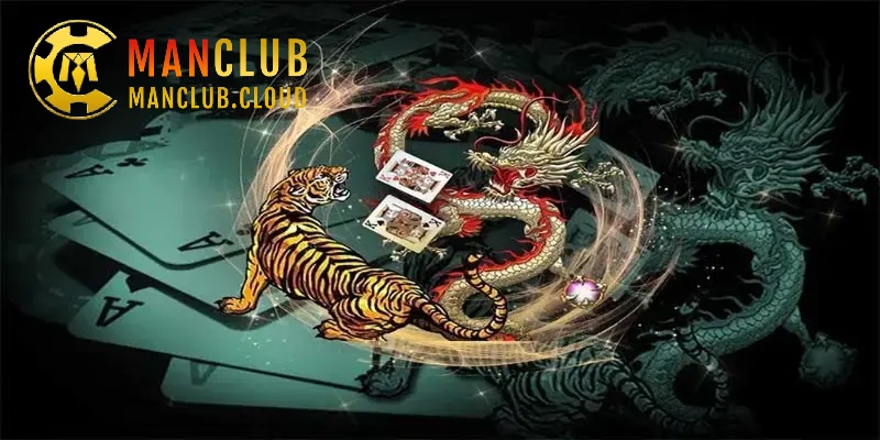 Tìm hiểu cách thức hoạt động minh bạch tại sảnh Live rồng hổ